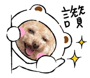 424439450