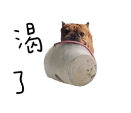 424440263
