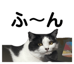 424442415