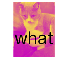 424449152