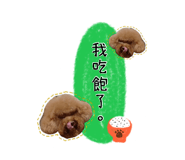 424456629