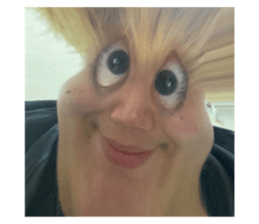 424491977