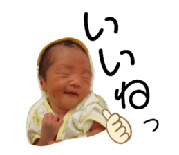 424498544