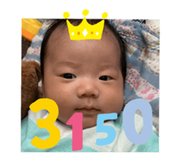 424515605