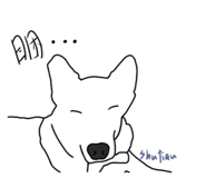 424515935