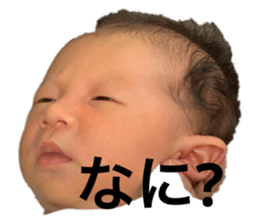 424526131