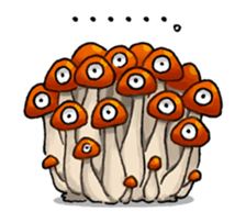 4245276