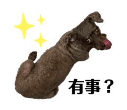 424537800