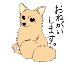 4245606