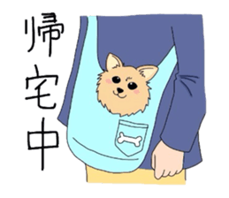 4245614