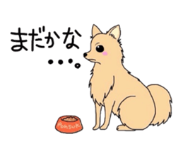 4245618