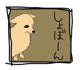 4245630