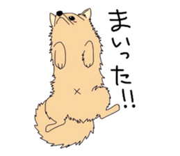 4245636