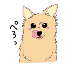 4245638