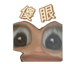 424580250