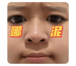 424580253