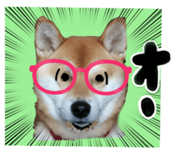 424602162
