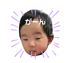 424634406