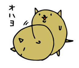 4247487