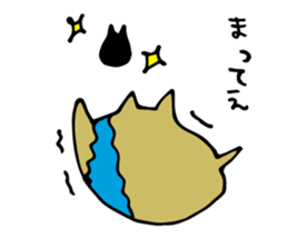 4247504