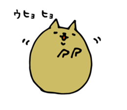 4247512