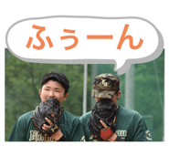 424753491