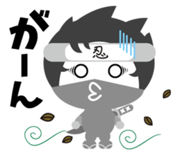 4247656