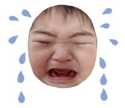 424774402