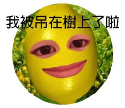 424776244