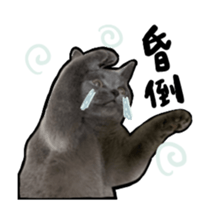 424778457