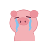 425032293