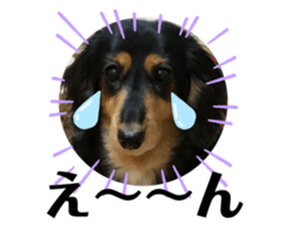 425049236