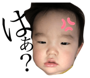425059530