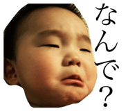 425059543