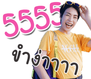 42506246