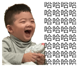 425073771