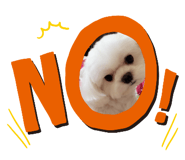 425084349