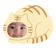 425127777