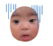 425127779