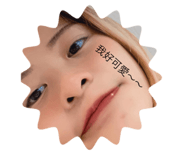 425134037