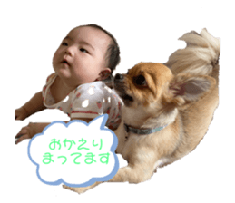 425143391