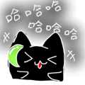 425195027
