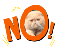 425195801