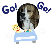 425195809