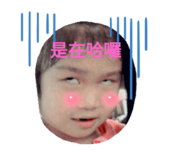 425215444