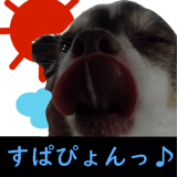 425230708