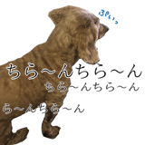 425230712