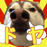 425230714