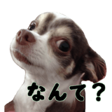 425230715