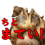 425230718
